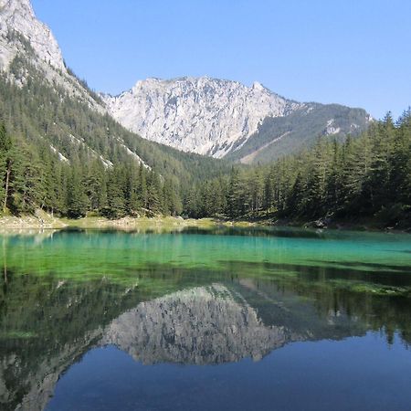 Herzogberghof Kindberg Dış mekan fotoğraf